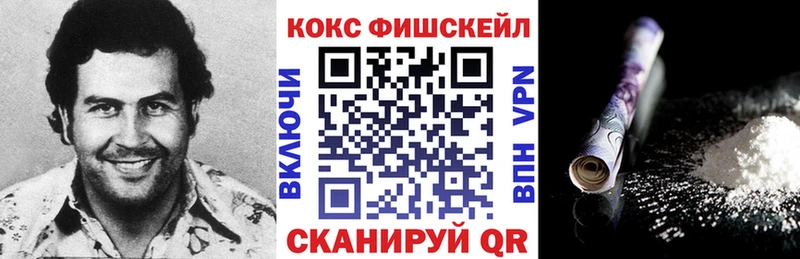 Кокаин Fish Scale  Купить где  Слюдянка 
