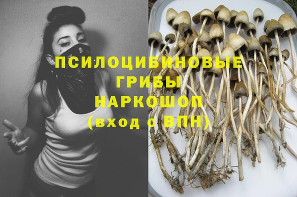 мет Белокуриха