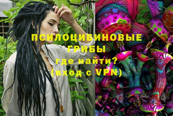 мет Белокуриха