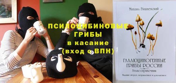 мет Белокуриха