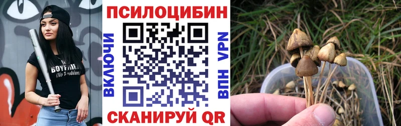 Купить где  Слюдянка  Псилоцибиновые грибы GOLDEN TEACHER 